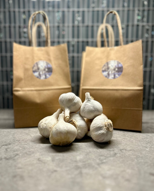 Organic Porcelain Music Garlic